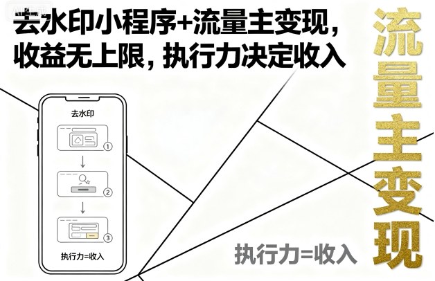 去水印小程序+流量主变现,收益无上限,执行力决定收入-轻创社项目网