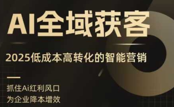 AI全域获客实训营,2025低成本高转化的智能营销,精准找客,高效营销-轻创社项目网