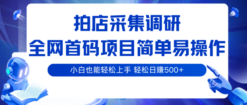 拍店采集调研,全网首码项目,简单易操作, 小白也能轻松上手,轻松日赚500+-轻创社项目网