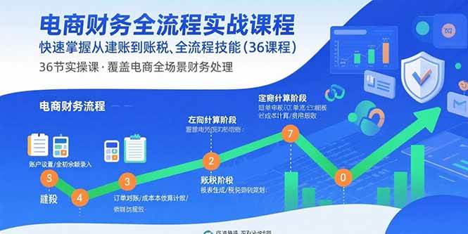 (15883期)电商财务全流程实战课程:快速掌握从建账到报税的全流程技能(36节课)-轻创社项目网