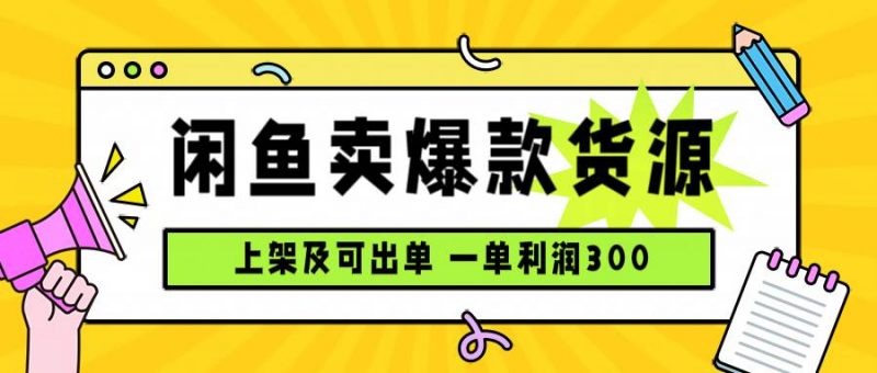 (15977期)闲鱼卖爆款货源,每天利润1000,上架即出单-轻创社项目网