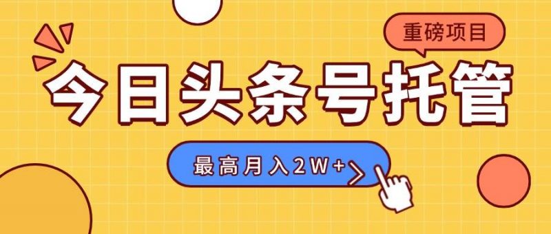 (15905期)【头条号托管 】我提供视频,你发布,每天操作5分钟,最高躺赚1W+-轻创社项目网