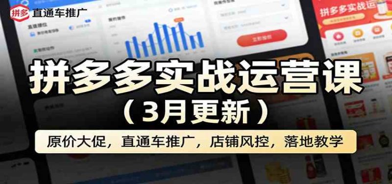 拼多多实战运营课(3月更新):原价大促,直通车推广,店铺风控,落地教学-轻创社项目网