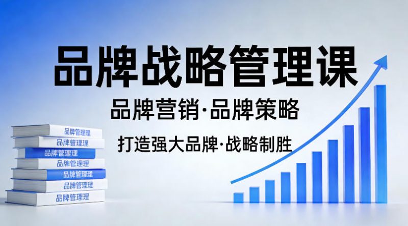 打造强大的品牌!品牌战略管理课,品牌营销,品牌策略-轻创社项目网
