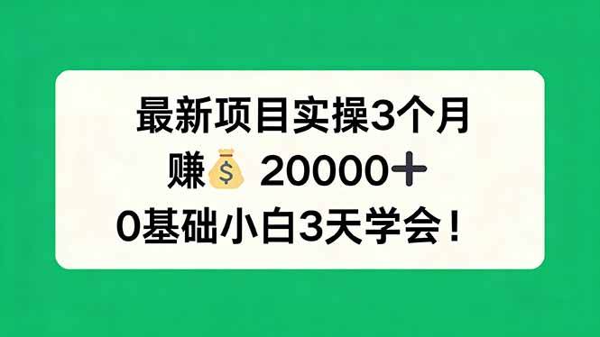 (17856期)最新项目实操3个月,赚钱20000+,0基础小白3天学会!-轻创社项目网